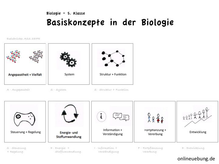 zur behandlung der varizen